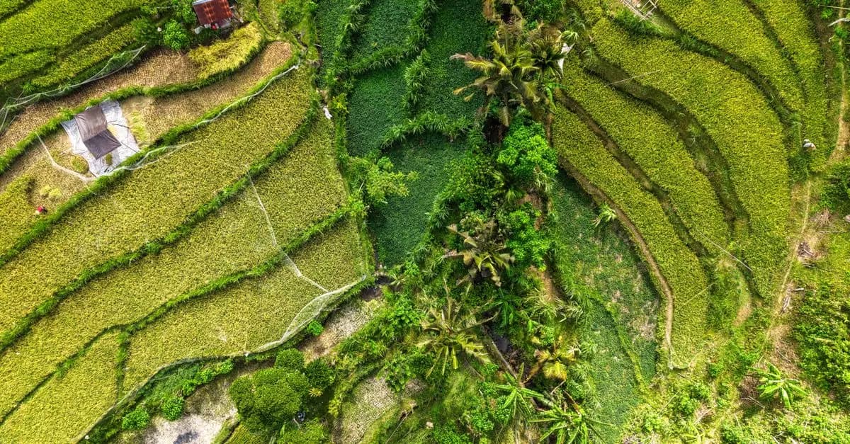 10 consejos para planificar un viaje sostenible y responsable