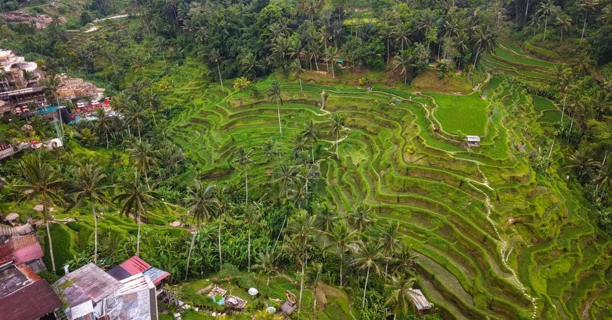 Todo lo que necesitas saber sobre el ecoturismo