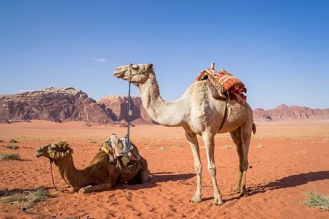 10 destinaciones emergentes que debes visitar este año