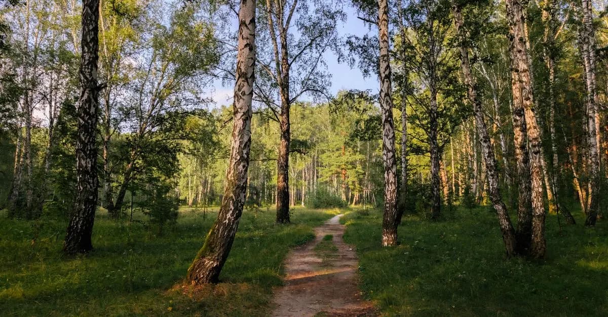 5 pasos para planificar un viaje sostenible y responsable