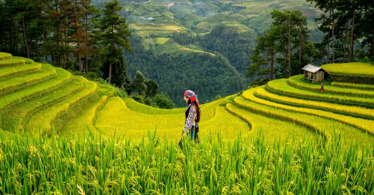 10 consejos para viajar de forma sostenible y responsable