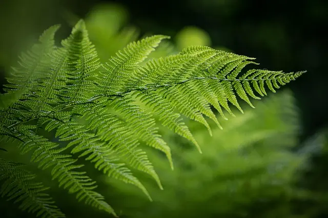 Las mejores tendencias en ecoturismo que debes conocer