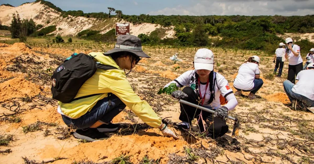 Las mejores experiencias de ecoturismo que debes conocer
