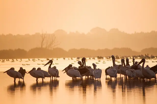 Las mejores experiencias de ecoturismo para explorar