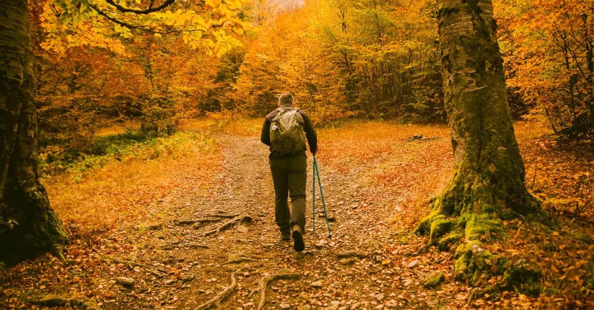 Guía completa para viajar en solitario: lo que necesitas saber