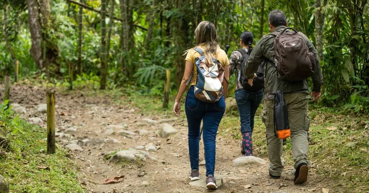 10 consejos para viajar de manera responsable y sostenible
